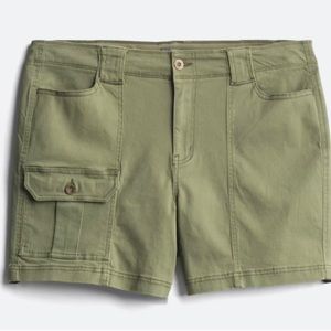 NWT Stitch Fix Market & Spruce Carmellia High Rise Cargo Shorts 22 22W